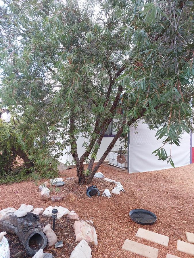 Lavender Cottage - At Home In Lightning Ridge Exterior photo